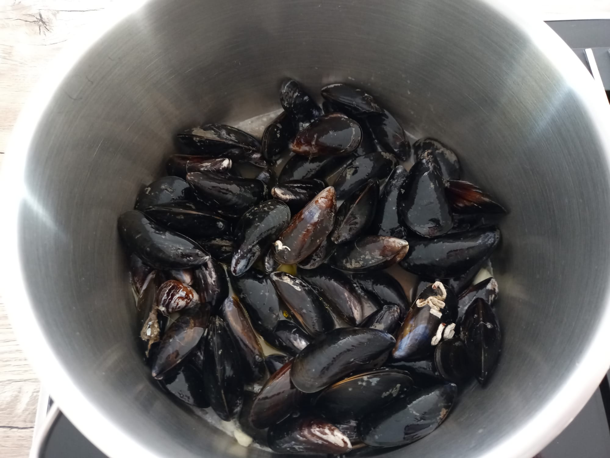 WhatsApp Image 2023-02-27 at 17.38.43_1