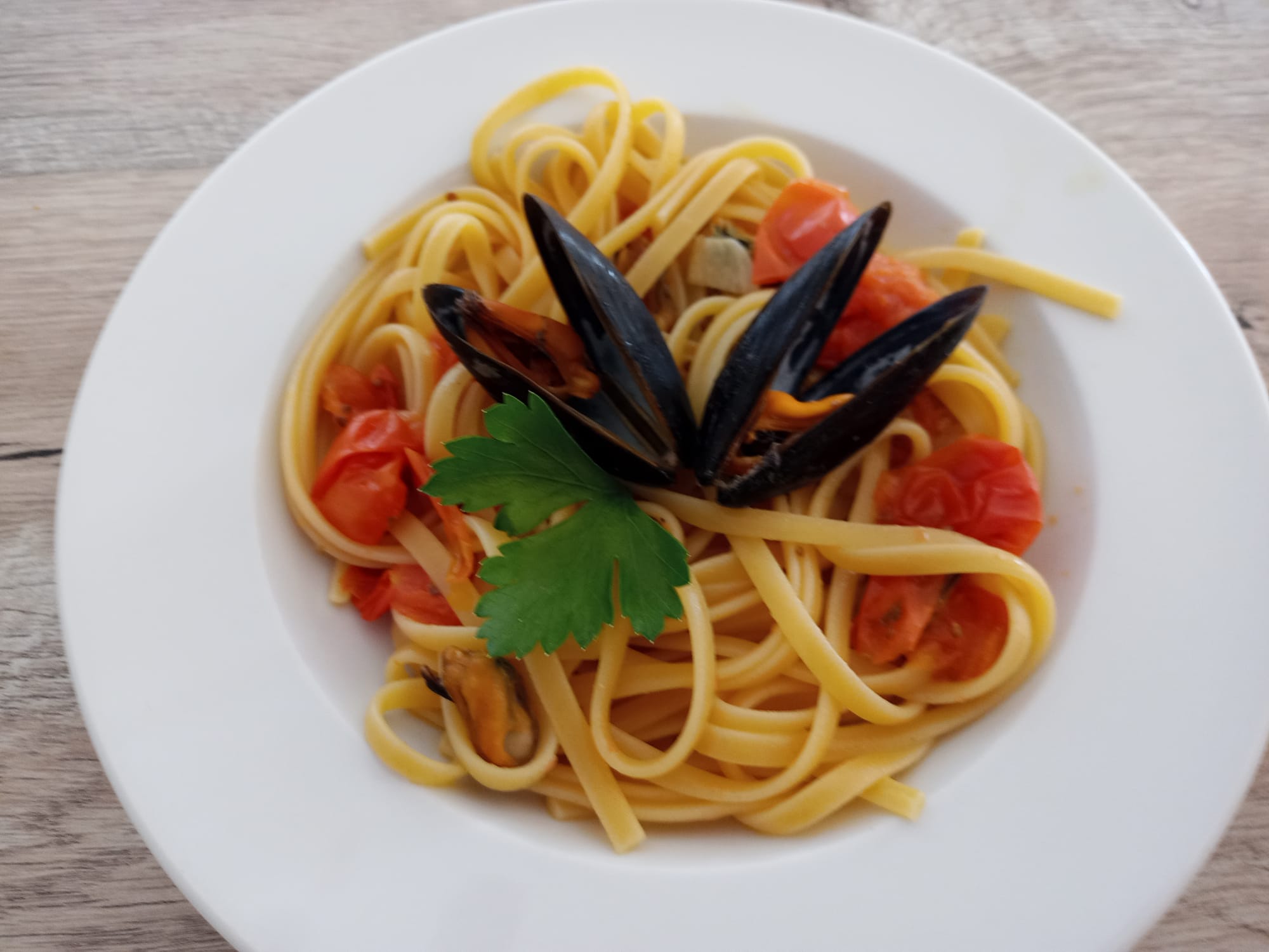 WhatsApp Image 2023-02-27 at 17.38.46